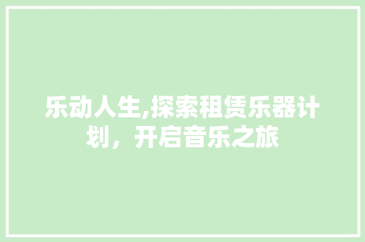 乐动人生,探索租赁乐器计划，开启音乐之旅