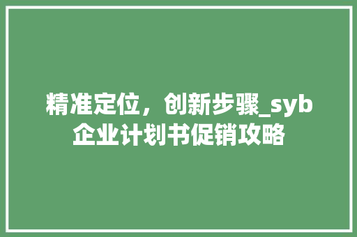 精准定位，创新步骤_syb企业计划书促销攻略