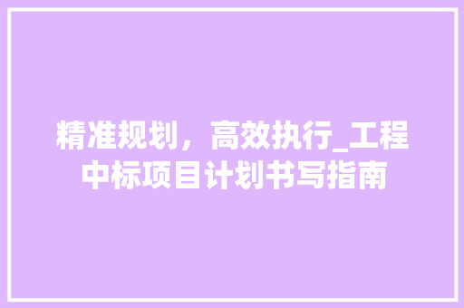精准规划，高效执行_工程中标项目计划书写指南