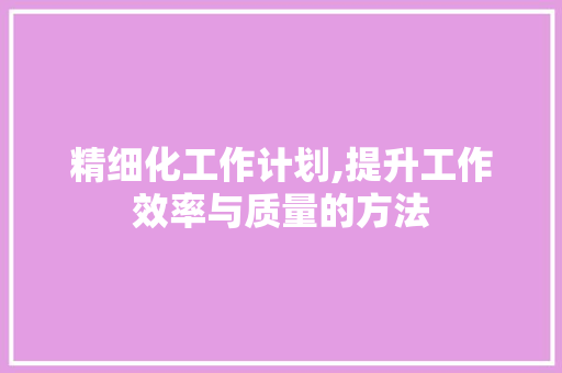 精细化工作计划,提升工作效率与质量的方法