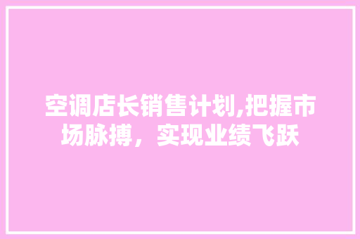 空调店长销售计划,把握市场脉搏，实现业绩飞跃