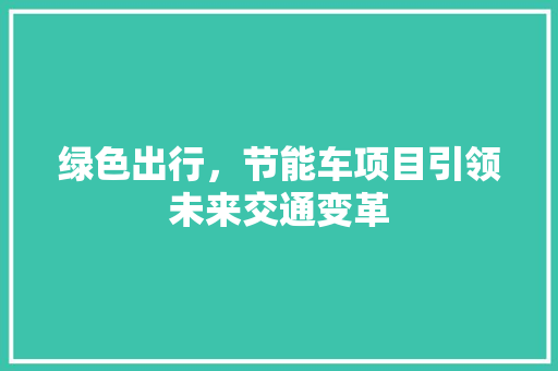 绿色出行，节能车项目引领未来交通变革