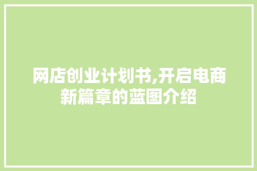 网店创业计划书,开启电商新篇章的蓝图介绍