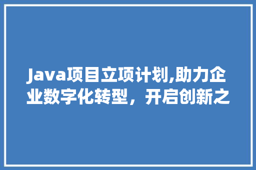 Java项目立项计划,助力企业数字化转型，开启创新之路 成语大全