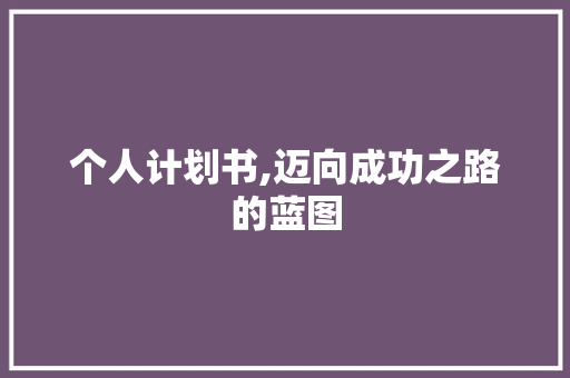个人计划书,迈向成功之路的蓝图 工作计划