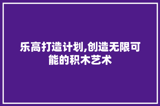 乐高打造计划,创造无限可能的积木艺术 名人名言