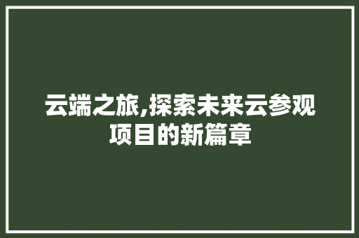 云端之旅,探索未来云参观项目的新篇章