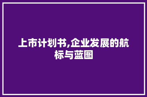 上市计划书,企业发展的航标与蓝图