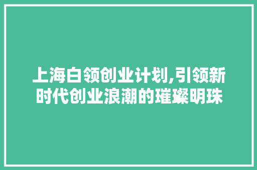 上海白领创业计划,引领新时代创业浪潮的璀璨明珠