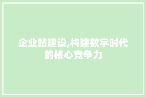 企业站建设,构建数字时代的核心竞争力