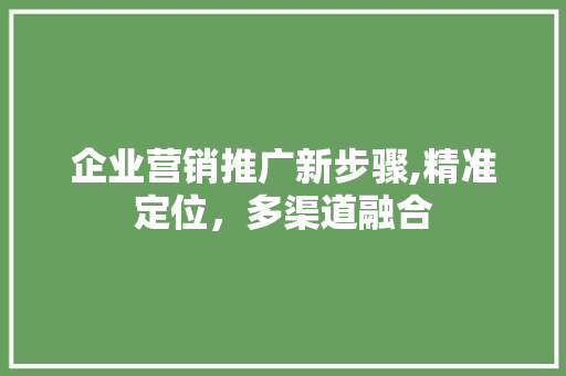 企业营销推广新步骤,精准定位，多渠道融合