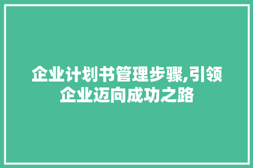 企业计划书管理步骤,引领企业迈向成功之路