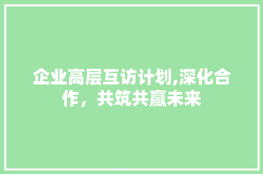 企业高层互访计划,深化合作，共筑共赢未来
