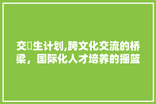 交換生计划,跨文化交流的桥梁，国际化人才培养的摇篮