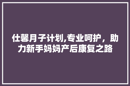 仕馨月子计划,专业呵护，助力新手妈妈产后康复之路