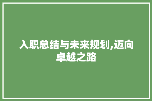 入职总结与未来规划,迈向卓越之路