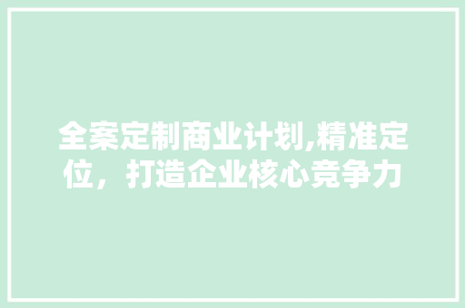 全案定制商业计划,精准定位，打造企业核心竞争力