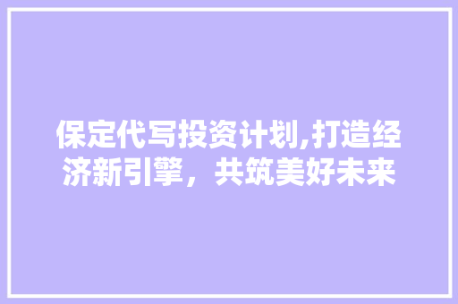 保定代写投资计划,打造经济新引擎，共筑美好未来