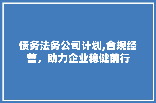 债务法务公司计划,合规经营，助力企业稳健前行