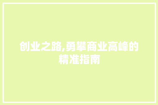 创业之路,勇攀商业高峰的精准指南