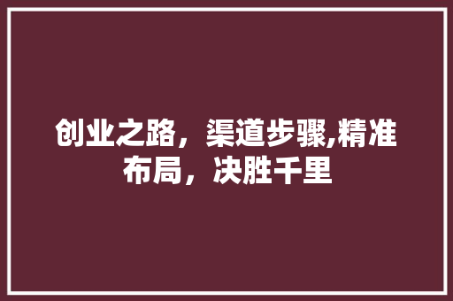 创业之路，渠道步骤,精准布局，决胜千里