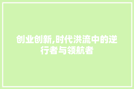 创业创新,时代洪流中的逆行者与领航者