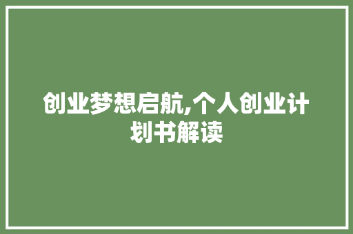 创业梦想启航,个人创业计划书解读