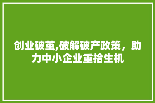 创业破茧,破解破产政策，助力中小企业重拾生机