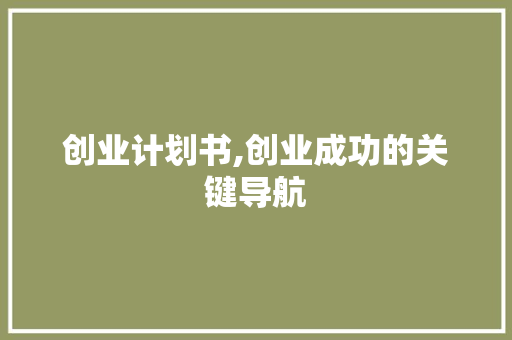 创业计划书,创业成功的关键导航