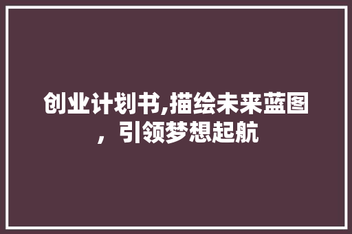 创业计划书,描绘未来蓝图，引领梦想起航