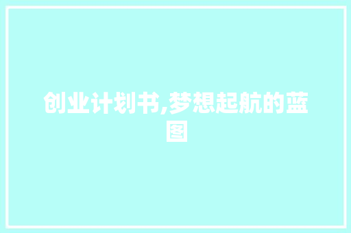 创业计划书,梦想起航的蓝图