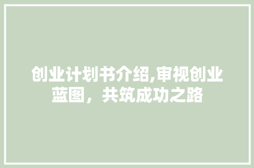 创业计划书介绍,审视创业蓝图，共筑成功之路
