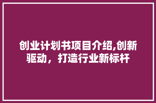 创业计划书项目介绍,创新驱动，打造行业新标杆