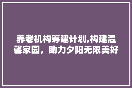 养老机构筹建计划,构建温馨家园，助力夕阳无限美好 个人简历
