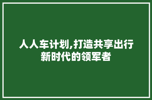 人人车计划,打造共享出行新时代的领军者
