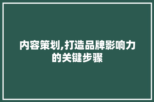 内容策划,打造品牌影响力的关键步骤