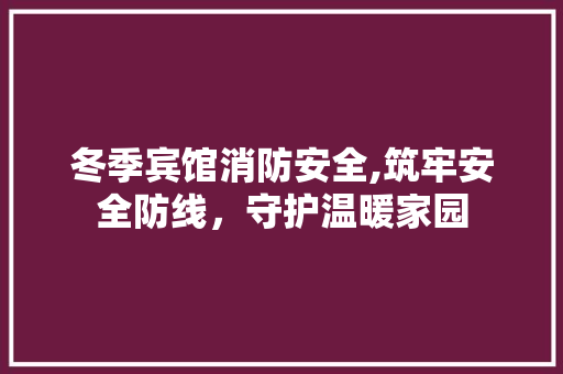 冬季宾馆消防安全,筑牢安全防线，守护温暖家园