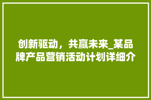 创新驱动，共赢未来_某品牌产品营销活动计划详细介绍