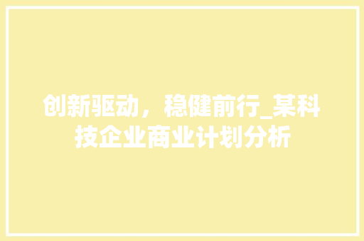 创新驱动，稳健前行_某科技企业商业计划分析 工作计划