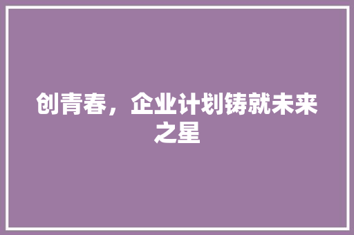 创青春，企业计划铸就未来之星