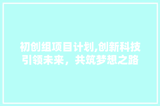 初创组项目计划,创新科技引领未来，共筑梦想之路