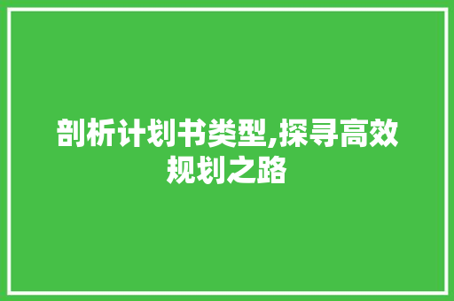 剖析计划书类型,探寻高效规划之路