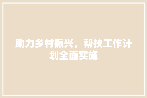助力乡村振兴，帮扶工作计划全面实施