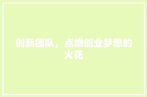 创新团队，点燃创业梦想的火花
