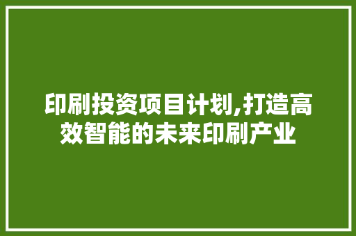 印刷投资项目计划,打造高效智能的未来印刷产业