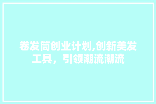 卷发筒创业计划,创新美发工具，引领潮流潮流