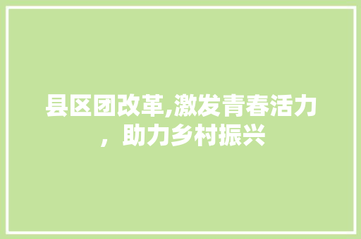 县区团改革,激发青春活力，助力乡村振兴