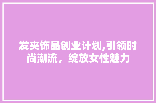 发夹饰品创业计划,引领时尚潮流，绽放女性魅力