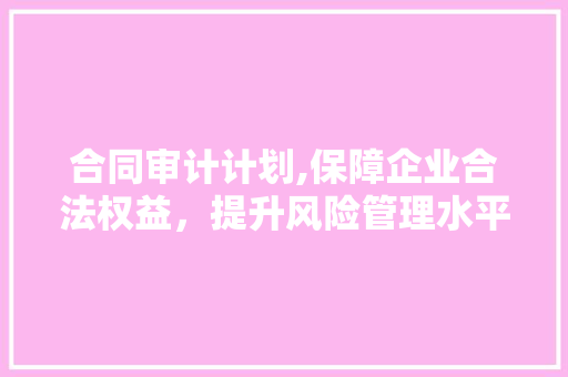 合同审计计划,保障企业合法权益，提升风险管理水平
