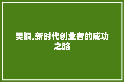 吴桐,新时代创业者的成功之路